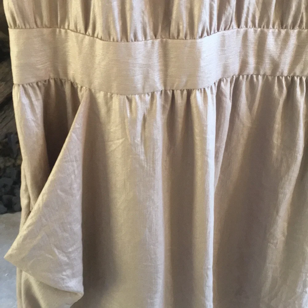 BCBGMaxAzria Taupe Mini Dress